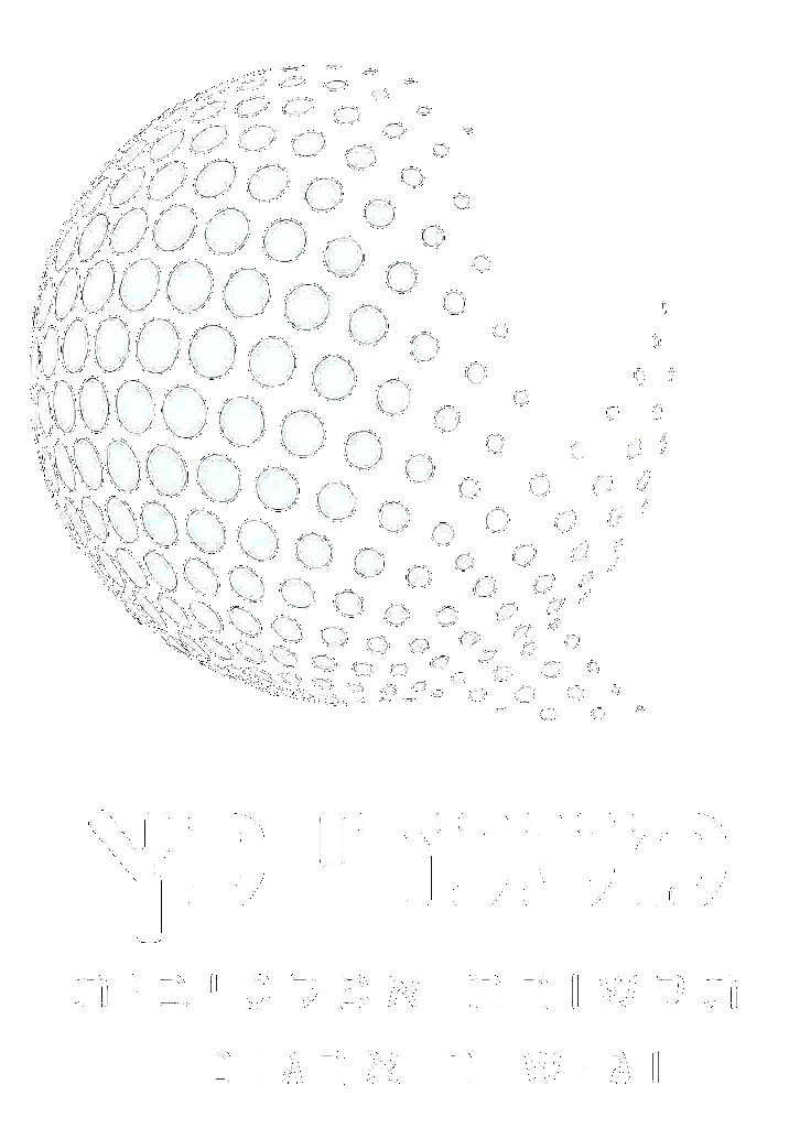 לוגו איכותי שקוף לבן